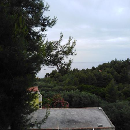 Žuljana Apartman Ana 아파트 외부 사진
