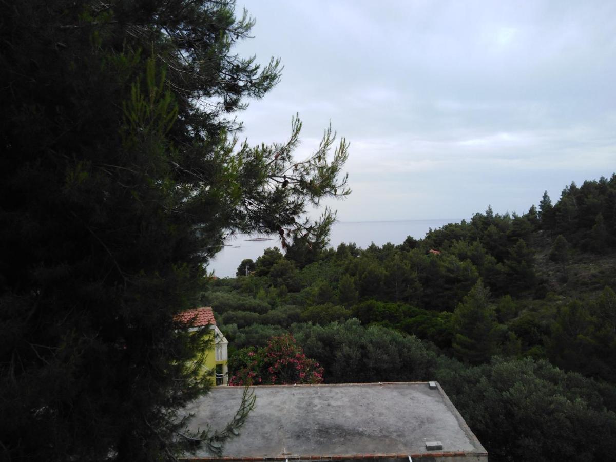 Žuljana Apartman Ana 아파트 외부 사진